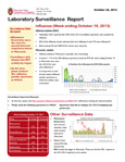 Lab Surveillance Report tn